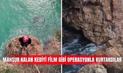 Mahsur kalan kediyi film gibi operasyonla kurtardılar