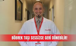 Böbrek taşı sessizce geri dönebilir!
