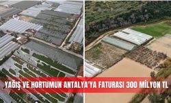 Yağış ve hortumun Antalya'ya faturası 300 milyon TL