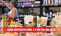 Kadın kooperatiflerine 3,5 milyon lira gelir