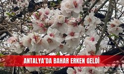 Antalya’da bahar erken geldi