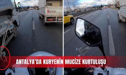 Antalya’da kuryenin mucize kurtuluşu