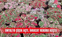 Antalya çiçek açtı, ihracat rekora koştu