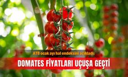 ATB ocak ayı hal endeksini açıkladı: Domates fiyatları uçuşa geçti