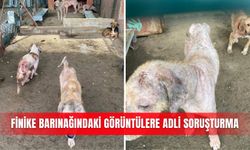 Finike barınağındaki görüntülere adli soruşturma