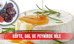 Antalya’da skandal denetim sonucu: Köfte, bal ve peynirde hile