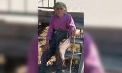 Serik'te hayvanları otlatmaya çıkan yaşlı kadın kayıp