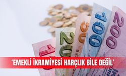 ‘Emekli ikramiyesi harçlık bile değil’
