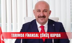 Tarımda finansal çöküş kapıda