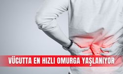 Vücutta en hızlı omurga yaşlanıyor