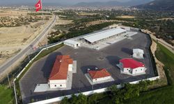 Korkuteli Canlı Hayvan Pazarı açılıyor