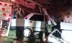 Otomobiliyle çilek tezgahına çarptı