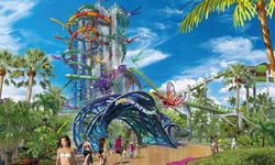 Waterfly, mayısta açılıyor