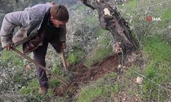 Film sahnesi değil gerçek: Azmiyle örnek oluyor