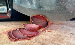 Pastırma Avrupa Birliğince tescillendi