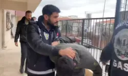 İstanbul'da 26 milyon lira haraç istediler: 12 gözaltı