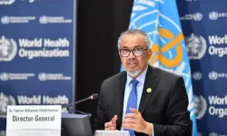 DSÖ: Hastane veya okul bombalamak ‘savaş suçu’dur