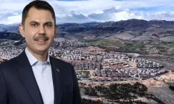 "Sadece yuvalar değil, ekmek tekneleri de inşa ettik"