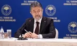 Türkiye gözlemci ülke oldu