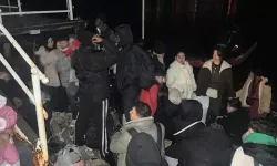 Bodrum'da 33 kaçak göçmen yakalandı