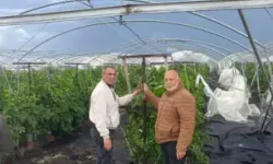 Mersin'de dolu ve fırtına seraları vurdu