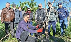 ATASEM'den ağaç budama ve aşılama eğitimi