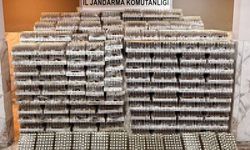 Manavgat'ta sahte içki baskını