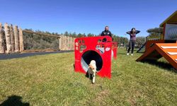 Duacı Mahallesi'ne Pati Park