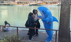 Manavgat sokaklarında köpek balığı!