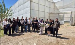 Öğrencilerden tropikal bahçelere teknik gezi