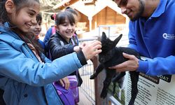 Minikler yaban hayatını tanıdı