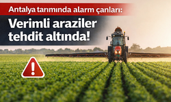 Antalya tarımında alarm çanları: Verimli araziler tehdit altında!