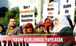Dereköy’de kömür ocağına tepki: Basın açıklaması yapılacak