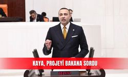 Kaya, projeyi Bakana sordu