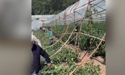Kumluca'da hortum seraları vurdu, 10 dönüm alan zarar gördü