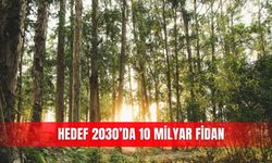 Hedef 2030’da 10 milyar fidan