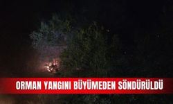 Orman yangını büyümeden söndürüldü