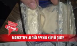 Marketten aldığı  peynir küflü çıktı!