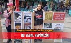 Hayvanseverlerden ‘vicdan’ çağrısı: Bu vebal hepimizin!