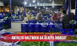 Türkiye'nin sebze tüketiminin yarısını karşılayan Antalya Hali'nden 64 ülkeye ihracat