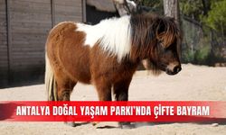 Antalya Doğal Yaşam Parkı’nda çifte bayram