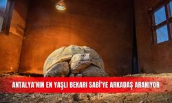 Antalya’nın en yaşlı bekarı Sabi’ye arkadaş aranıyor