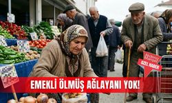 Emekli ölmüş ağlayanı yok!