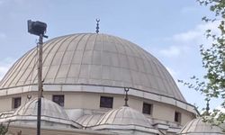 Serik’te leylek yuvası krizi