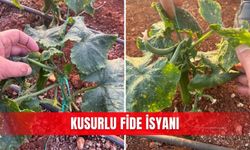 Kusurlu fide isyanı
