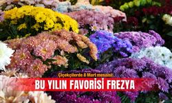 Çiçekçilerde 8 Mart mesaisi: Bu yılın favorisi frezya