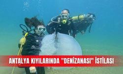 Antalya kıyılarında "denizanası" istilası