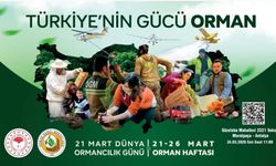 Antalya'da Orman Haftası etkinliği