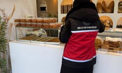 Serik'te denetimler sürüyor