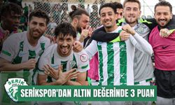 Sakaryaspor'u deviren Serikspor'dan altın değerinde 3 puan